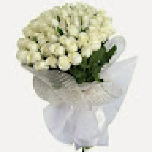 waled alhasn